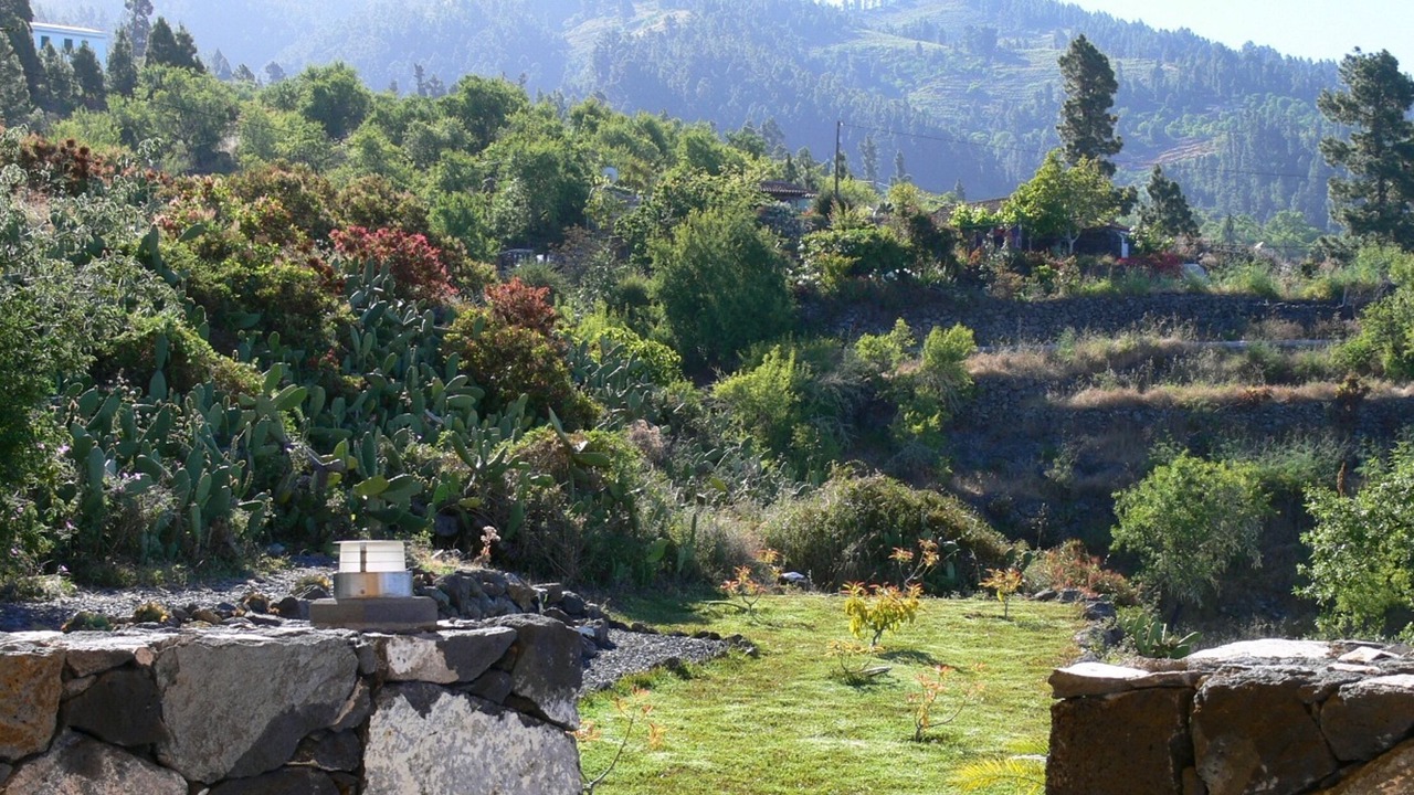 Photo of Outdoor in Tijarafe