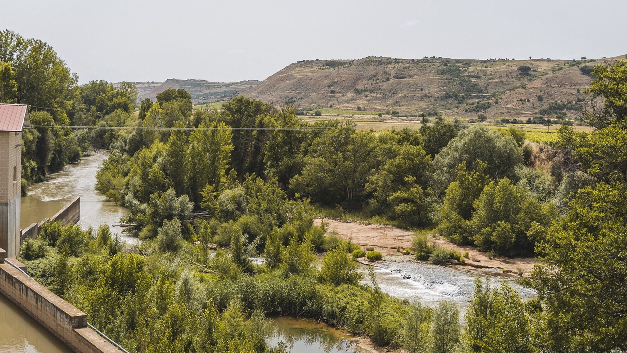 Photo of Others in San Martin de Rubiales