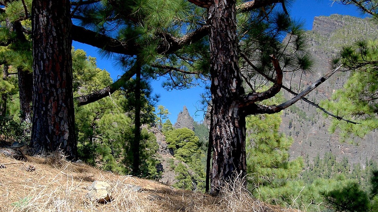 Photo of Outdoor in El Jesus