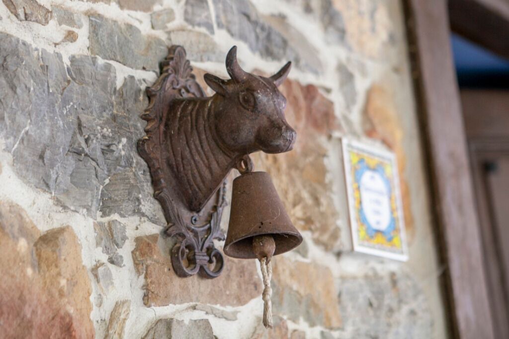 Photo of Outdoor in Laviana
