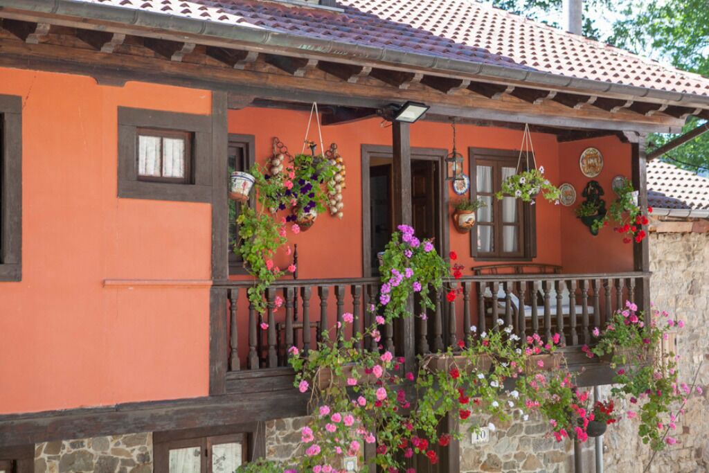Photo of Outdoor in Laviana