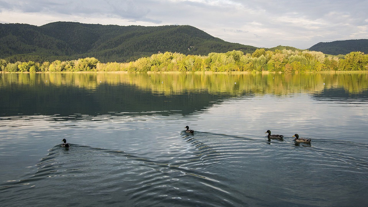 Photo of Others in Banyoles