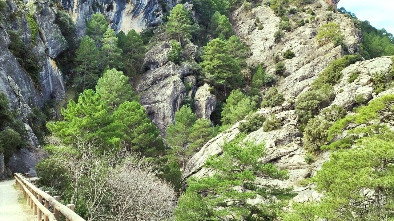 Photo of Others in Pozo Alcon