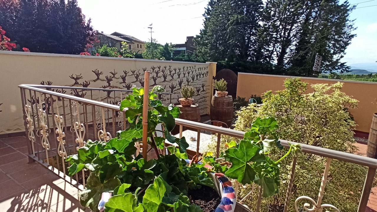 Photo of Patio Balcony in Abalos