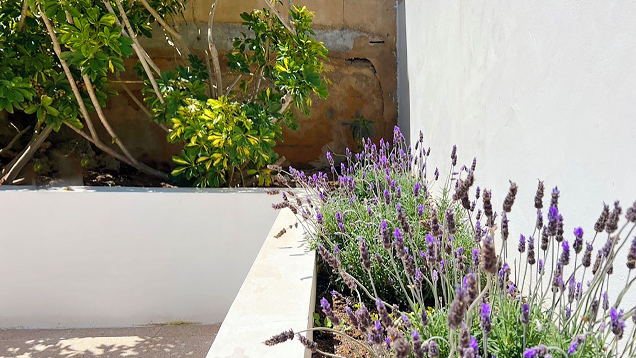 Photo of Outdoor in Son Serra de Marina