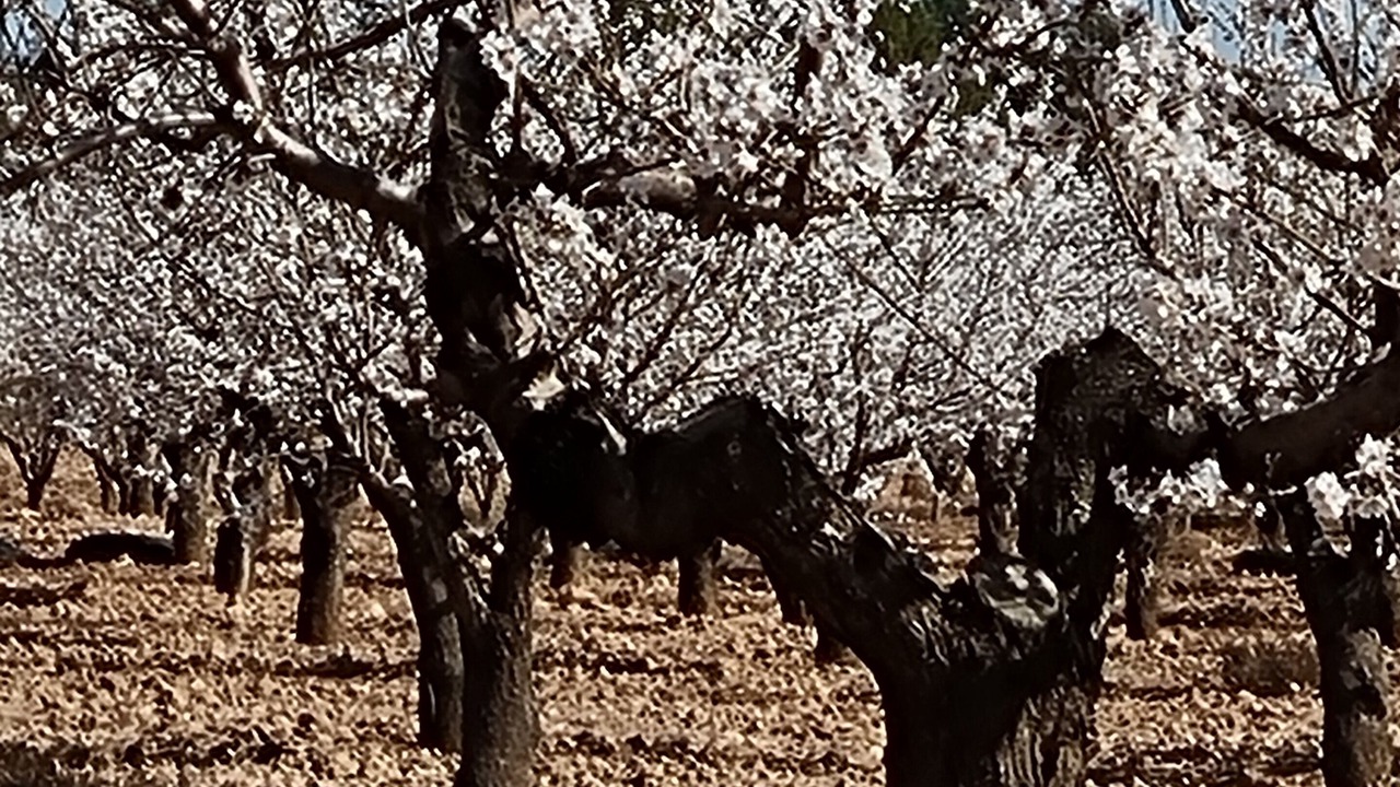 Photo of Outdoor in Roda