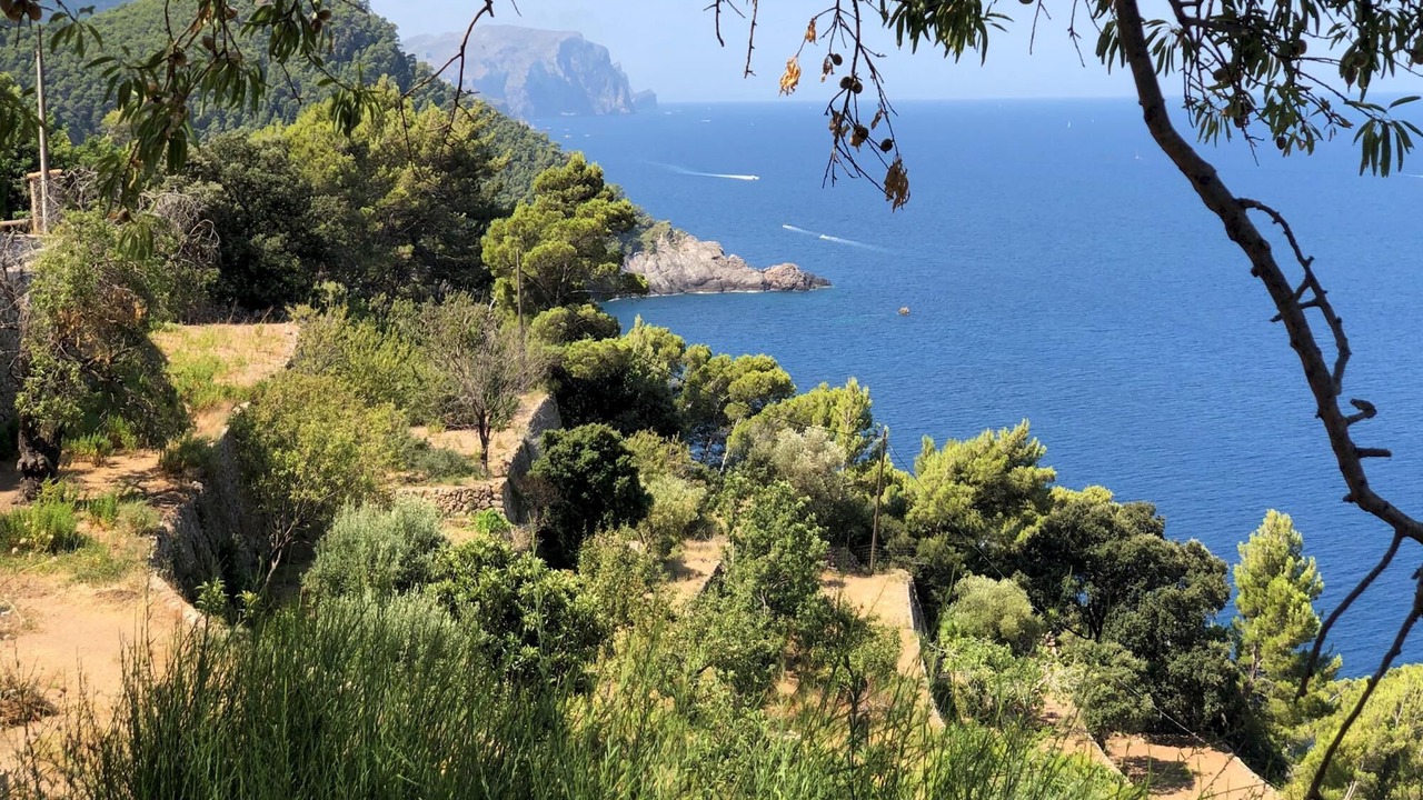 Photo of Outdoor in Banyalbufar