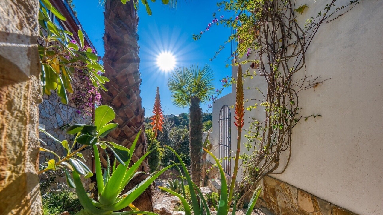 Photo of Outdoor in Tossa de Mar