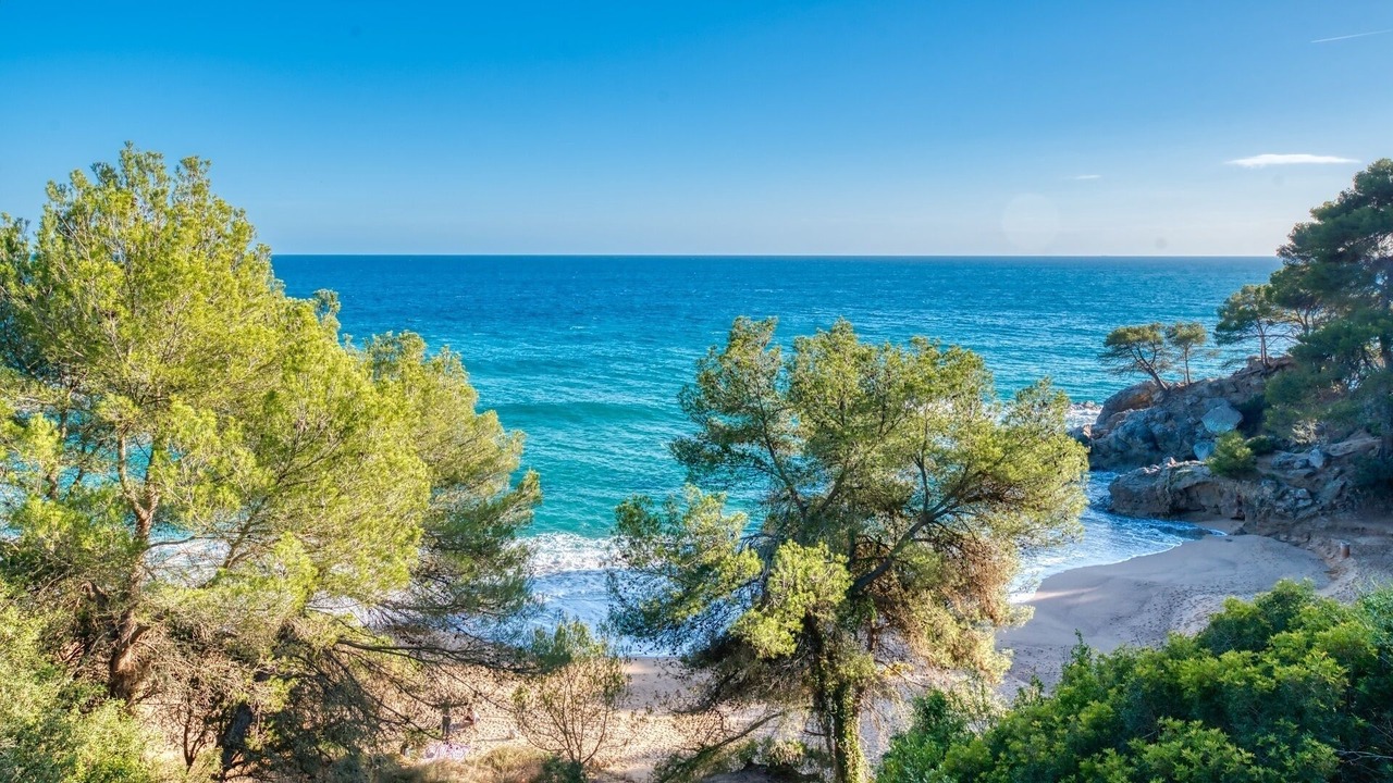 Photo of Others in Blanes