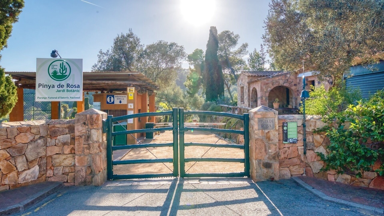 Photo of Outdoor in Blanes