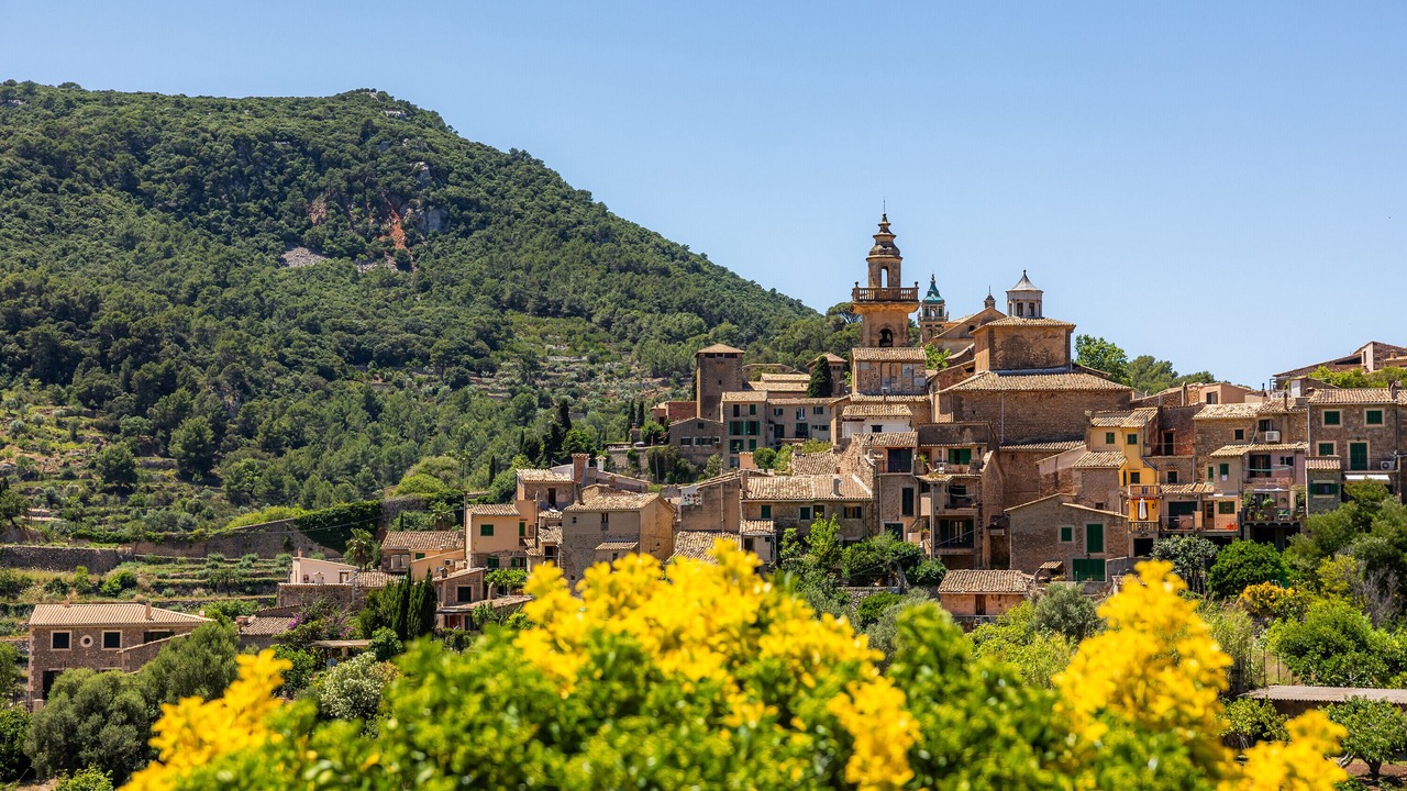 Photo of Others in Valldemossa