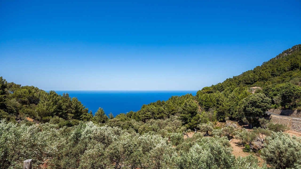 Photo of Others in Valldemossa