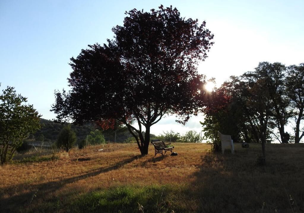 Photo of Outdoor in Soria