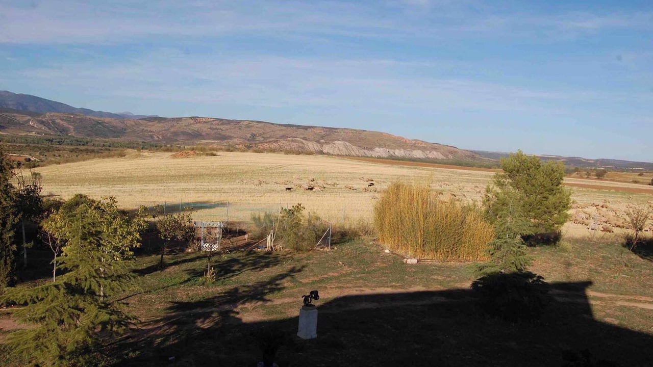 Photo of Others in Uceda