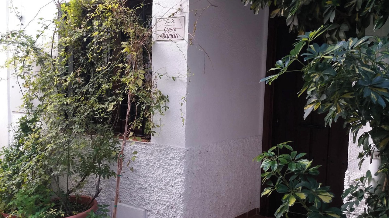 Photo of Outdoor in Quesada