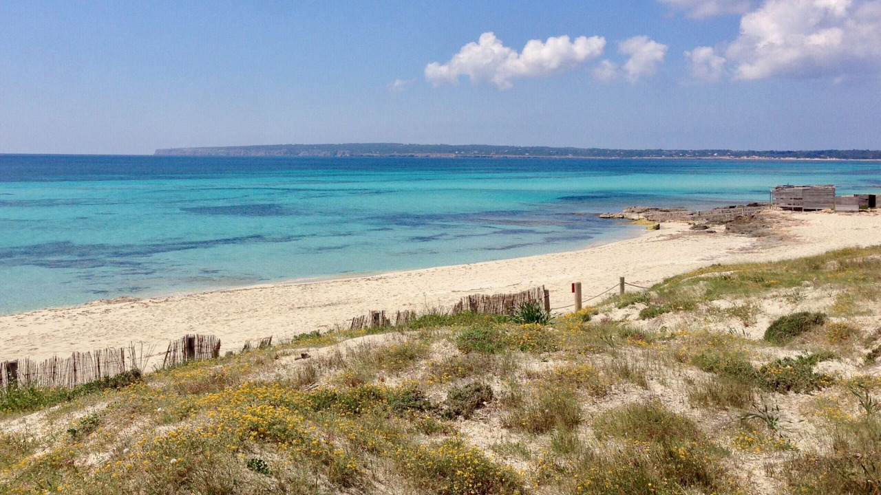 Photo of Others in Formentera