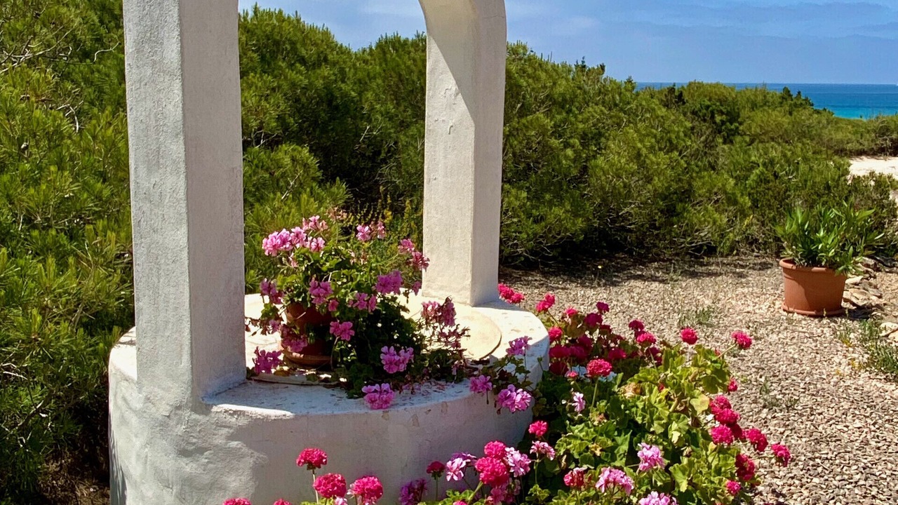 Photo of Outdoor in Formentera