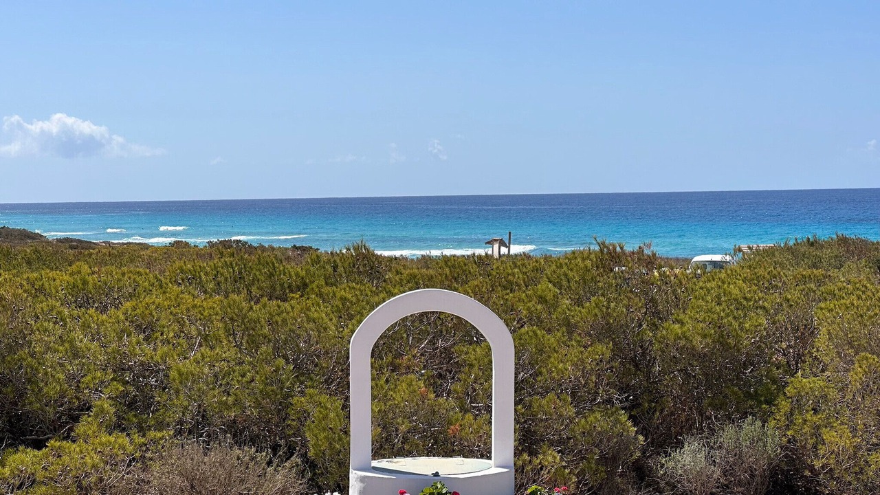 Photo of Others in Formentera