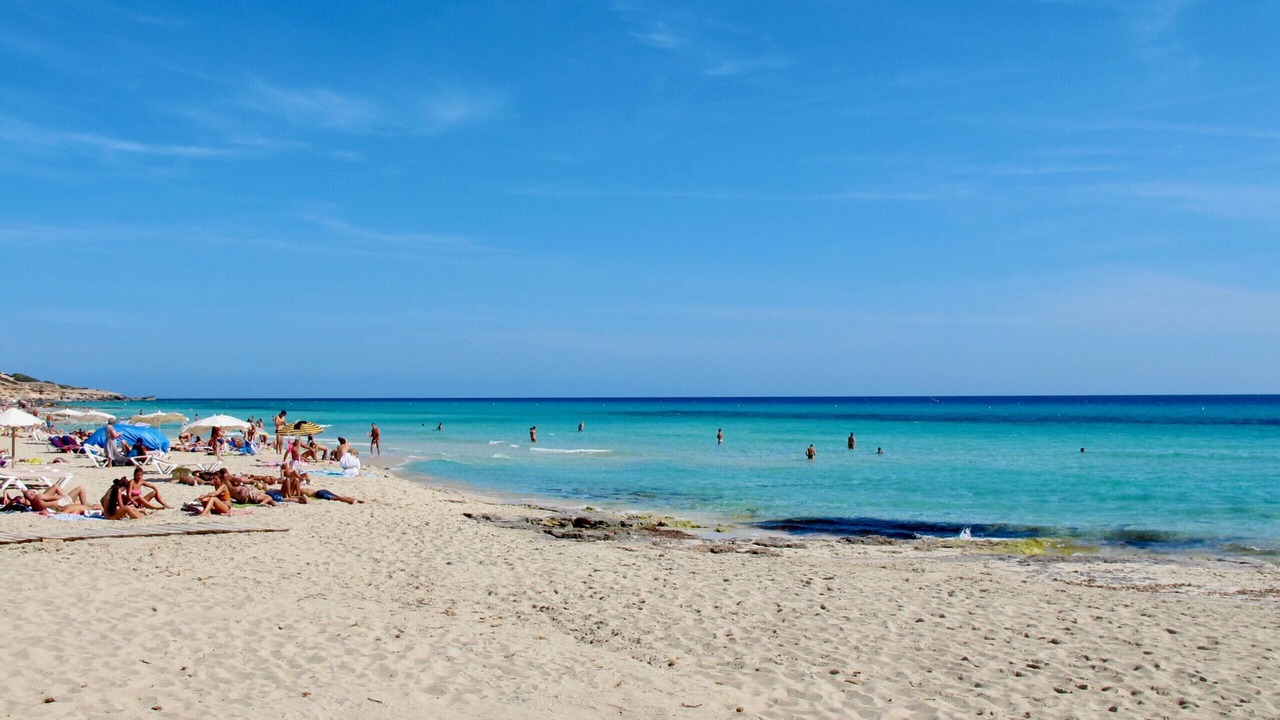 Photo of Others in Formentera