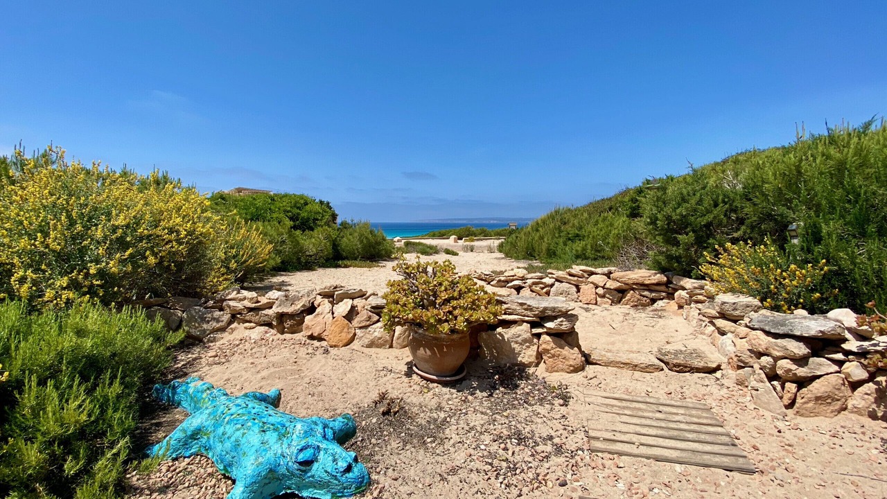 Photo of Others in Formentera