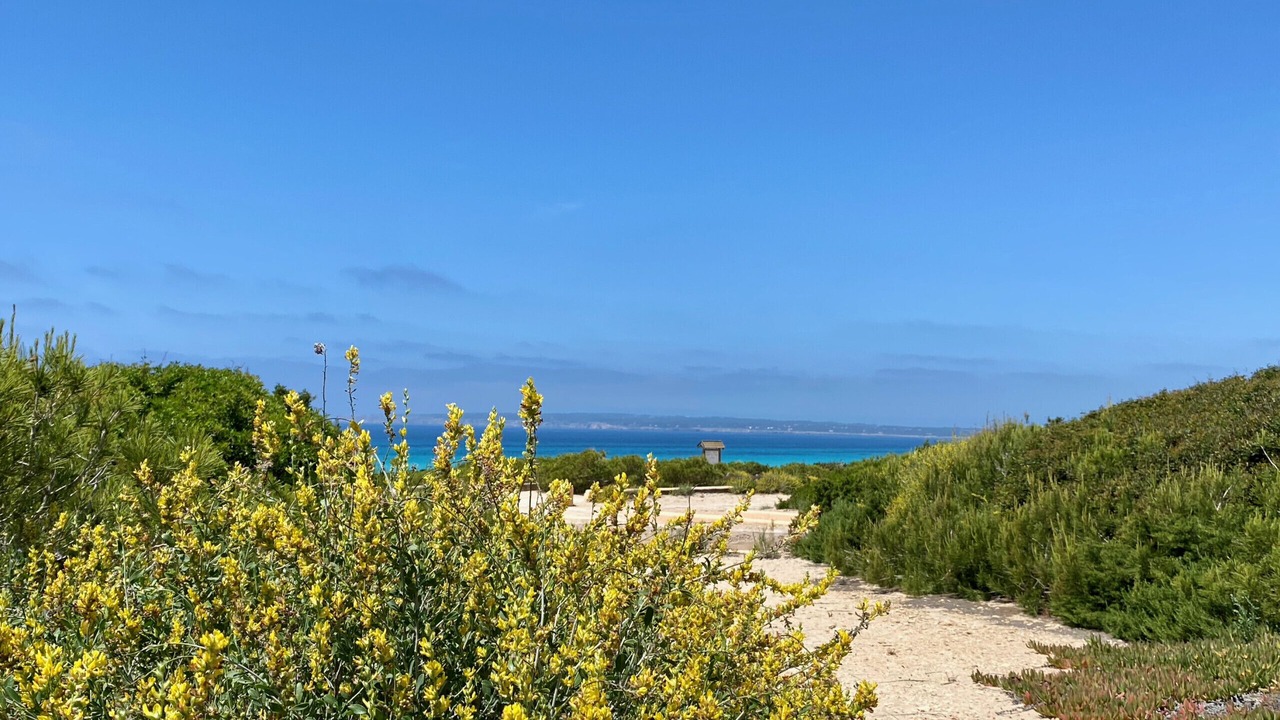 Photo of Others in Formentera