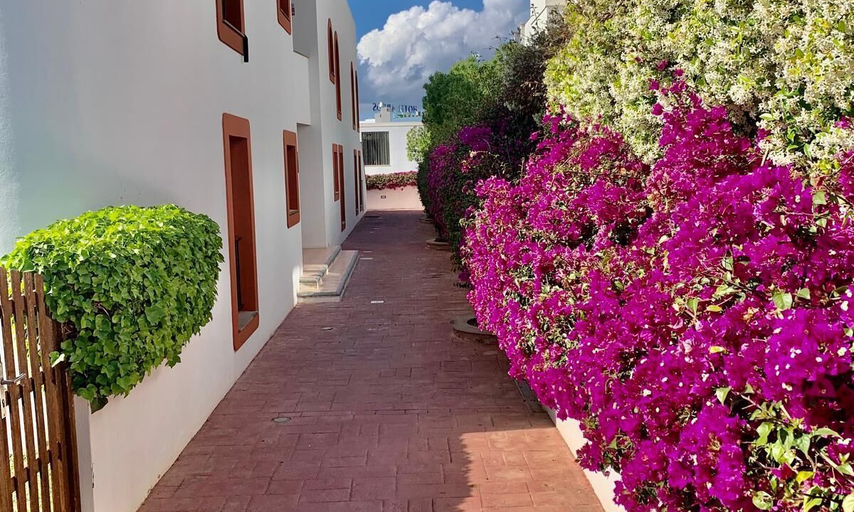 Photo of Outdoor in Ibiza Island