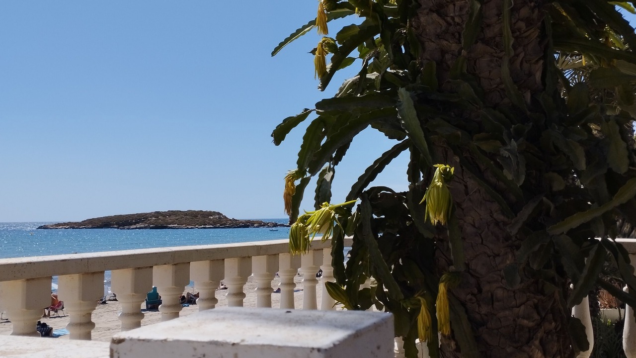 Photo of Outdoor in Los Puertos