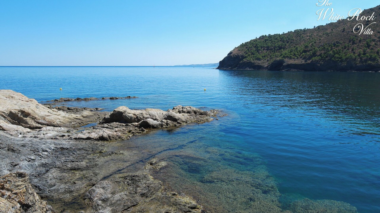 Photo of Others in Colera