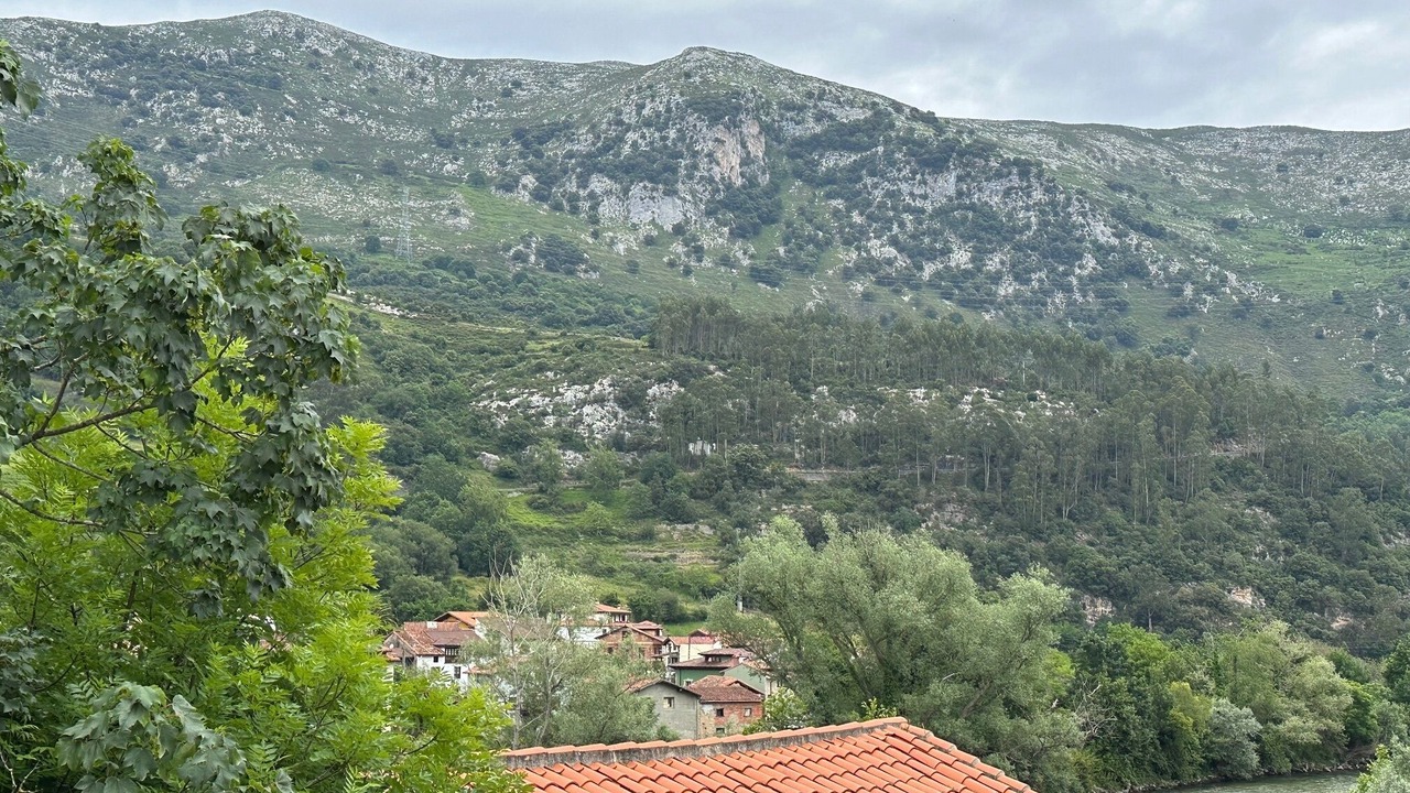 Photo of Outdoor in Panes