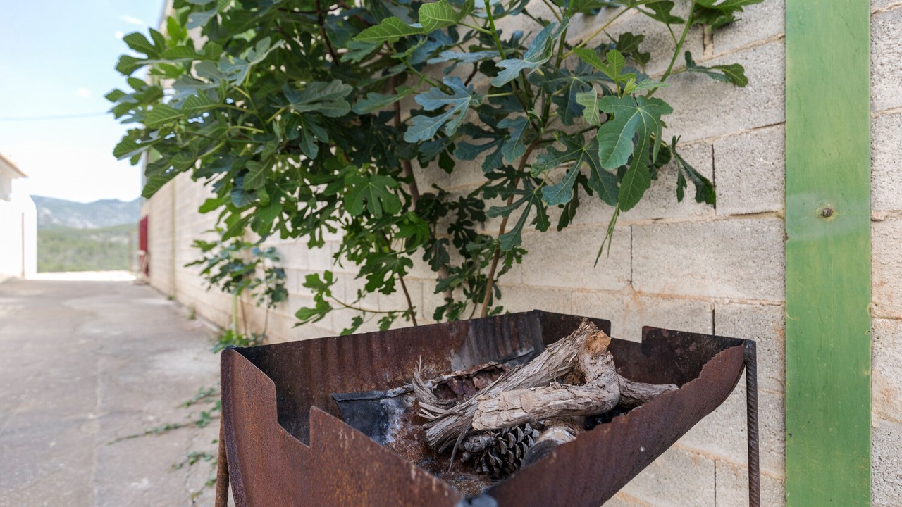 Photo of Outdoor in Calar de la Santa