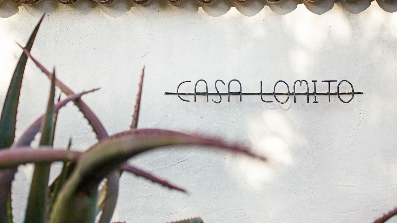 Photo of Outdoor in Tijarafe