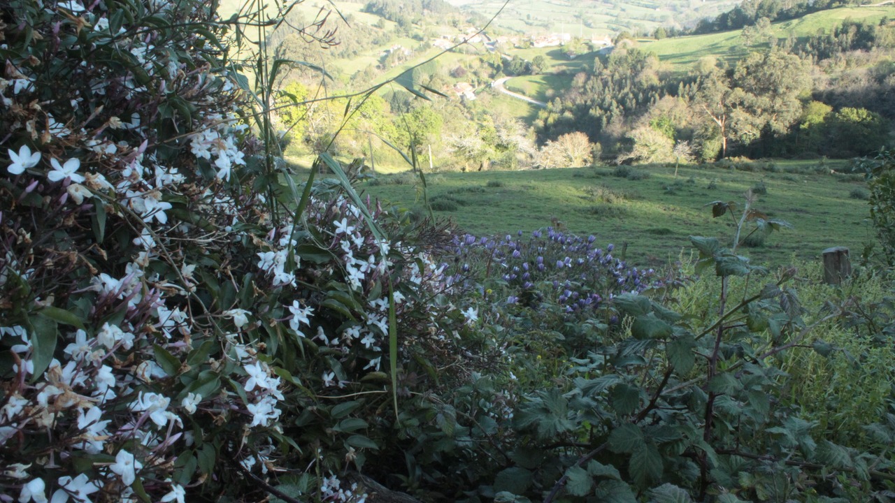 Photo of Others in Tresvilla