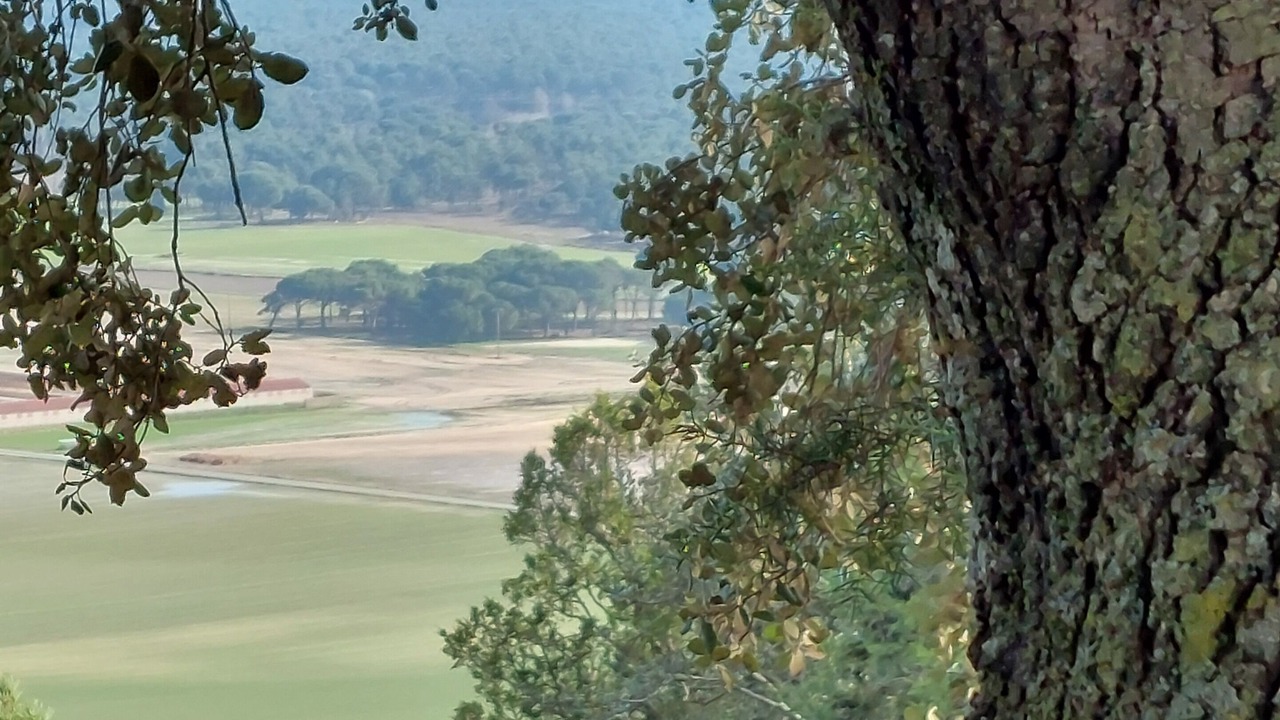 Photo of Others in Mata de Cuellar