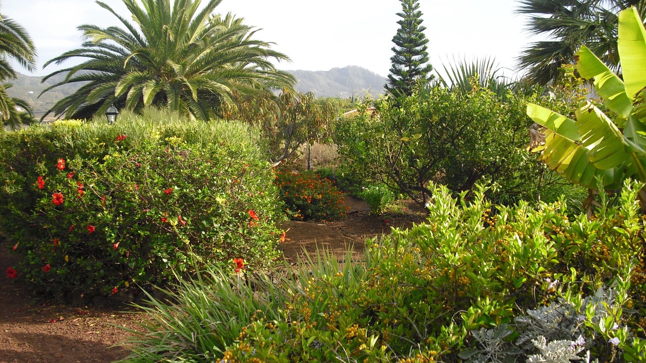 Photo of Outdoor in Tejina