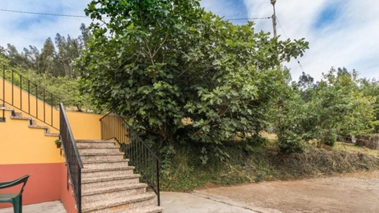Photo of Outdoor in Sandiche