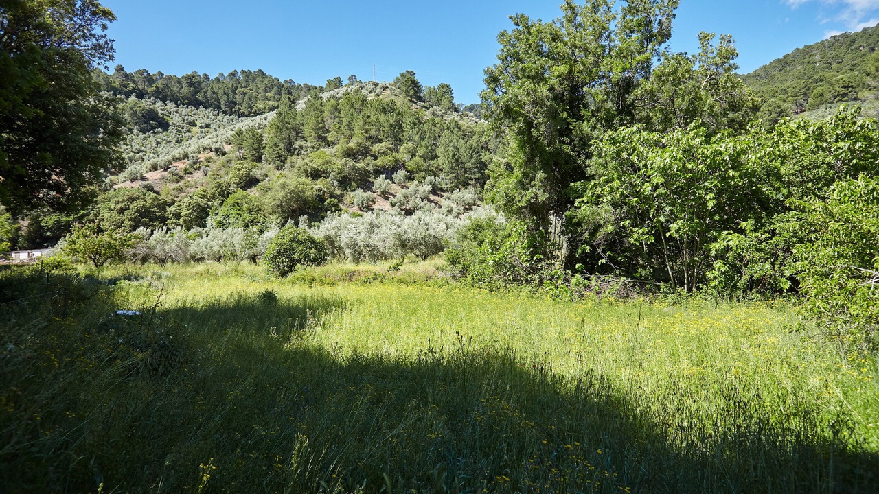 Photo of Outdoor in Beas de Segura