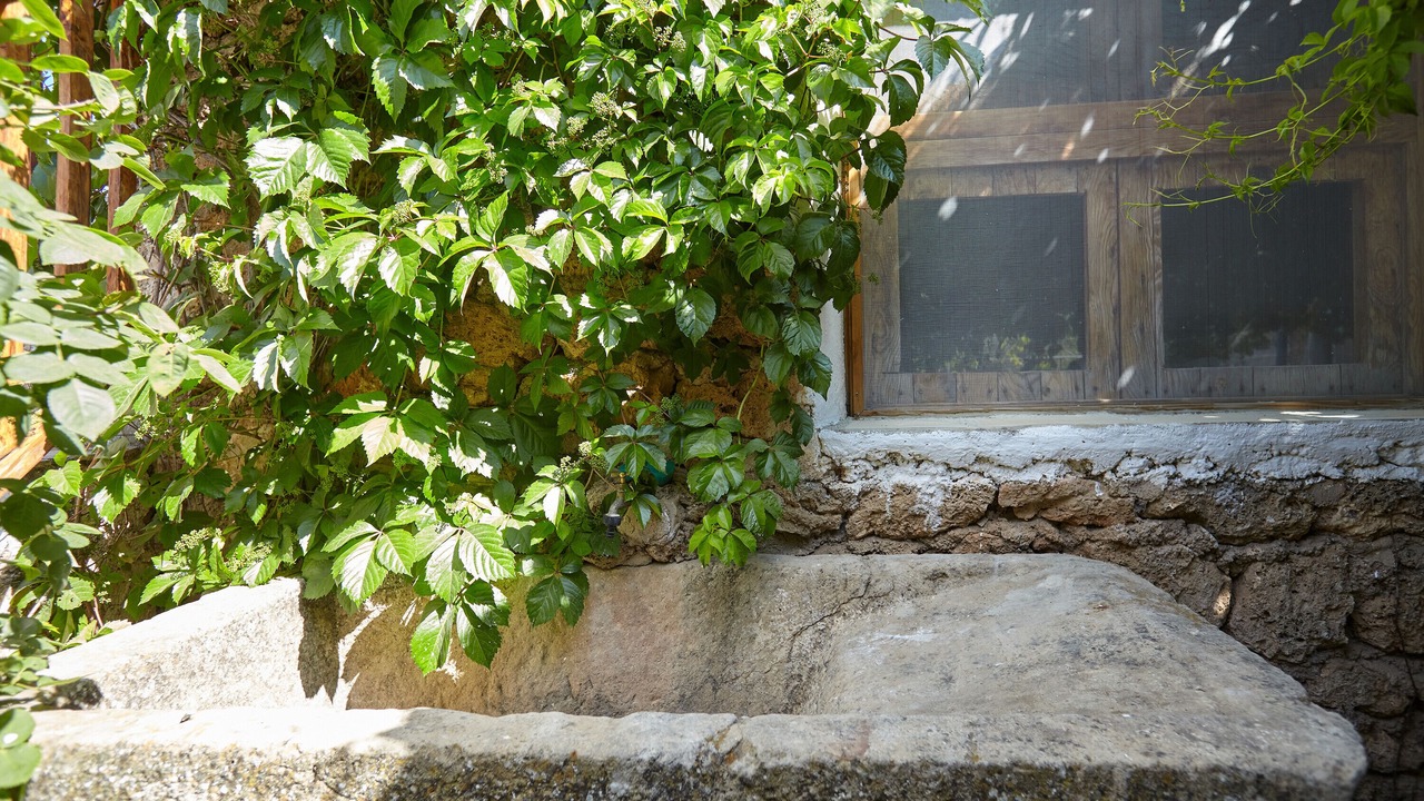 Photo of Outdoor in Beas de Segura
