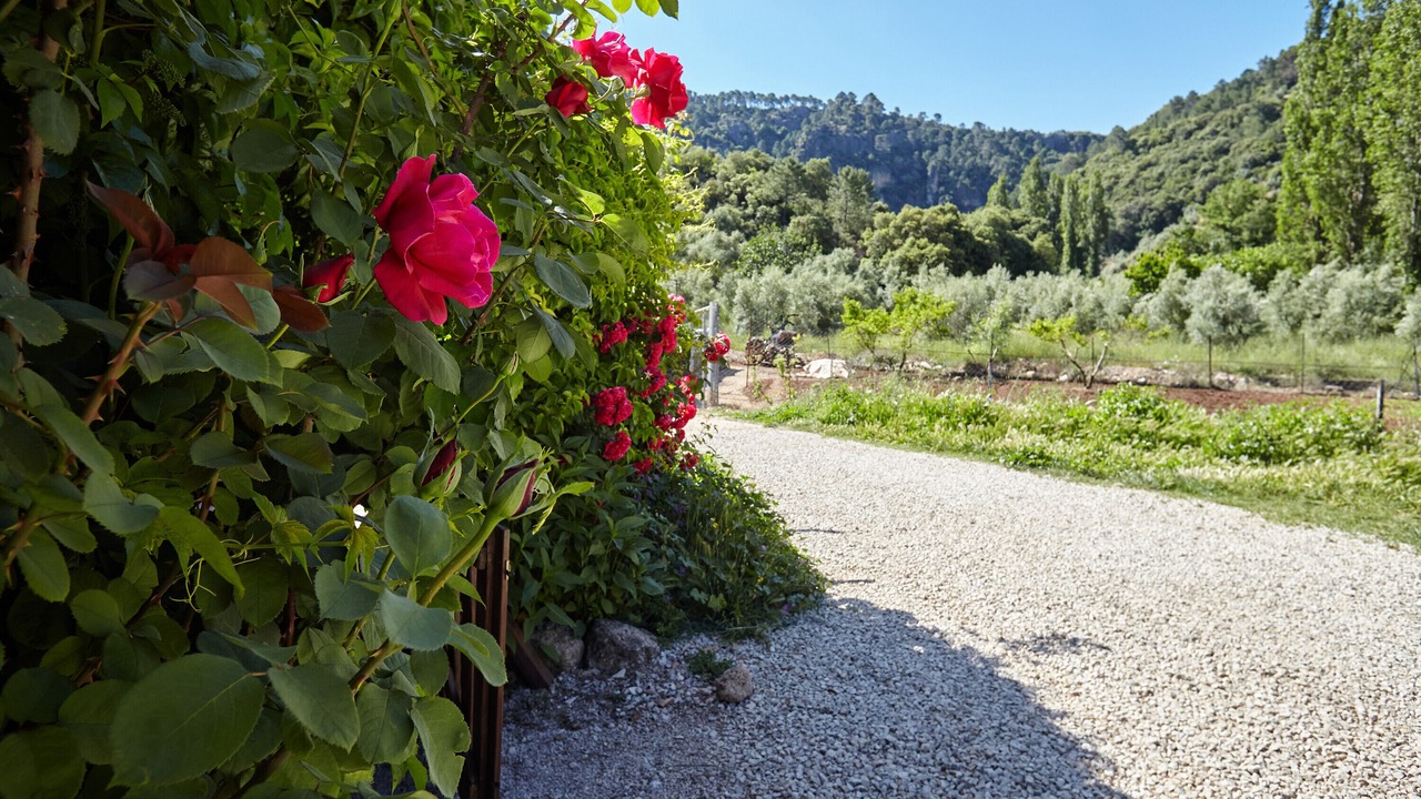 Photo of Outdoor in Beas de Segura