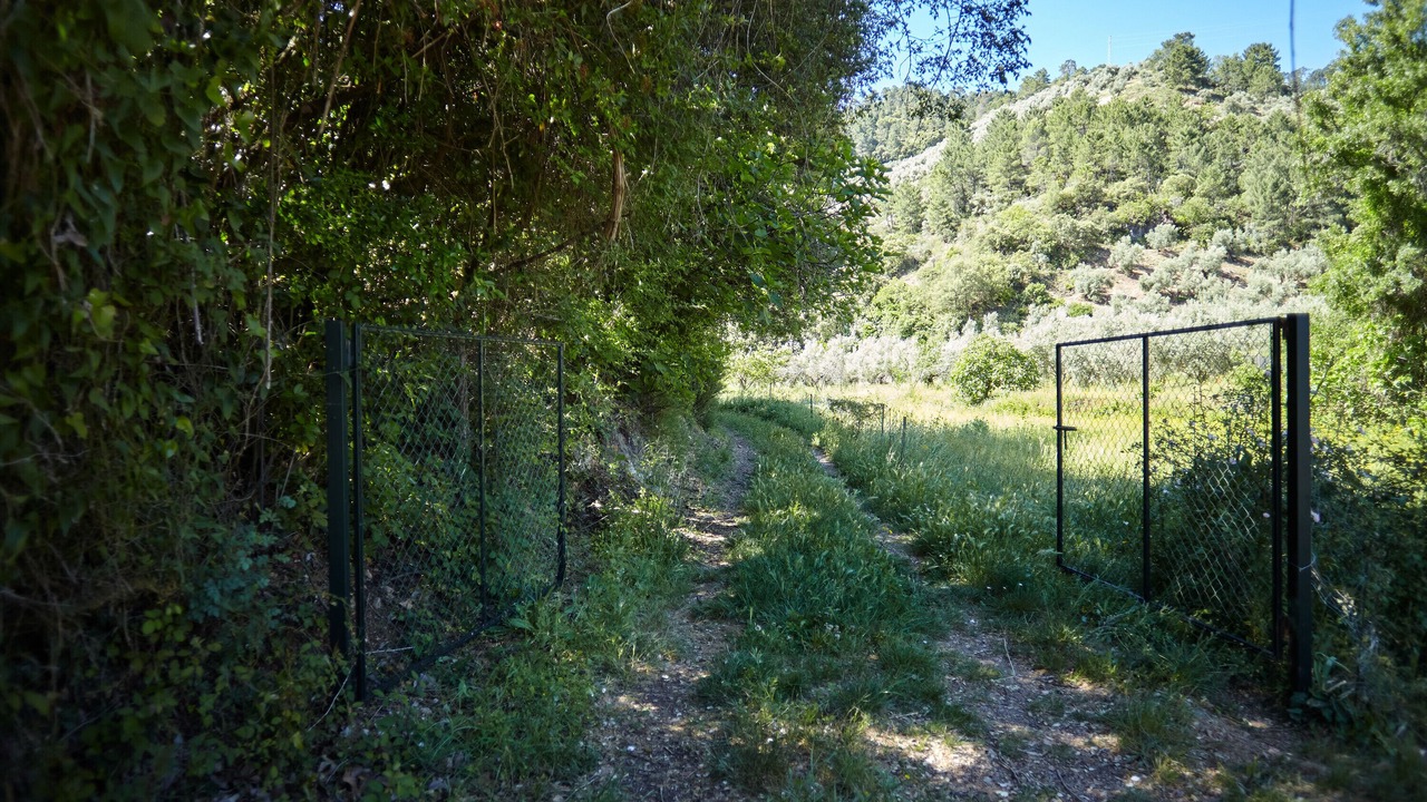 Photo of Outdoor in Beas de Segura