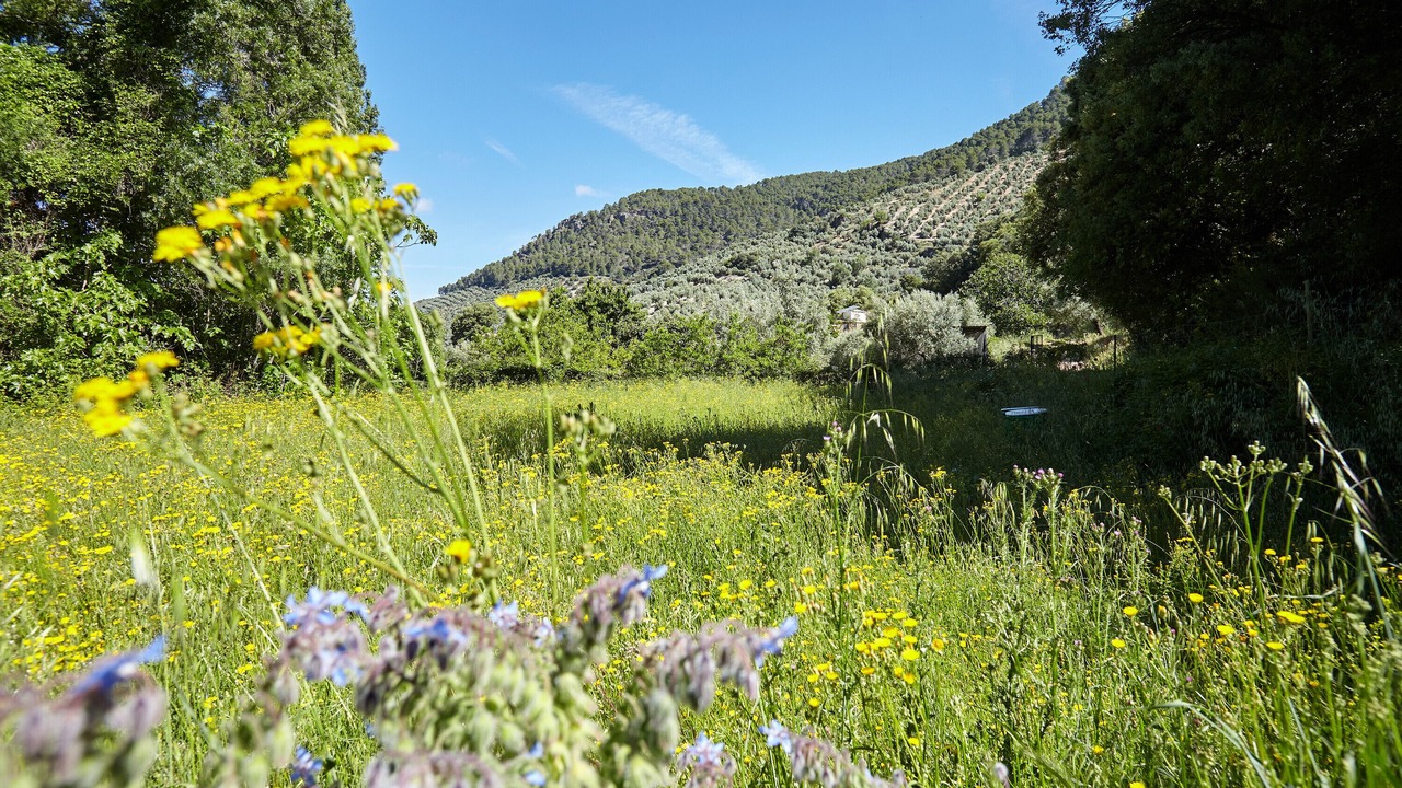 Photo of Outdoor in Beas de Segura