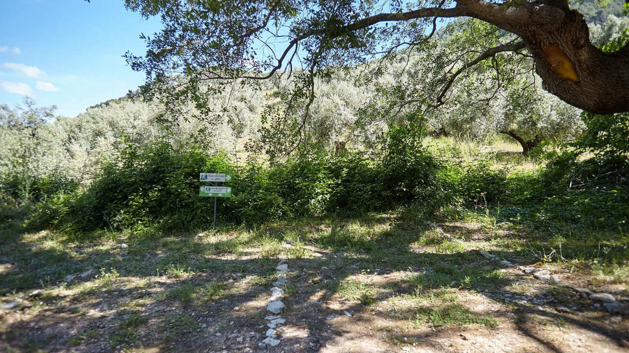 Photo of Outdoor in Beas de Segura