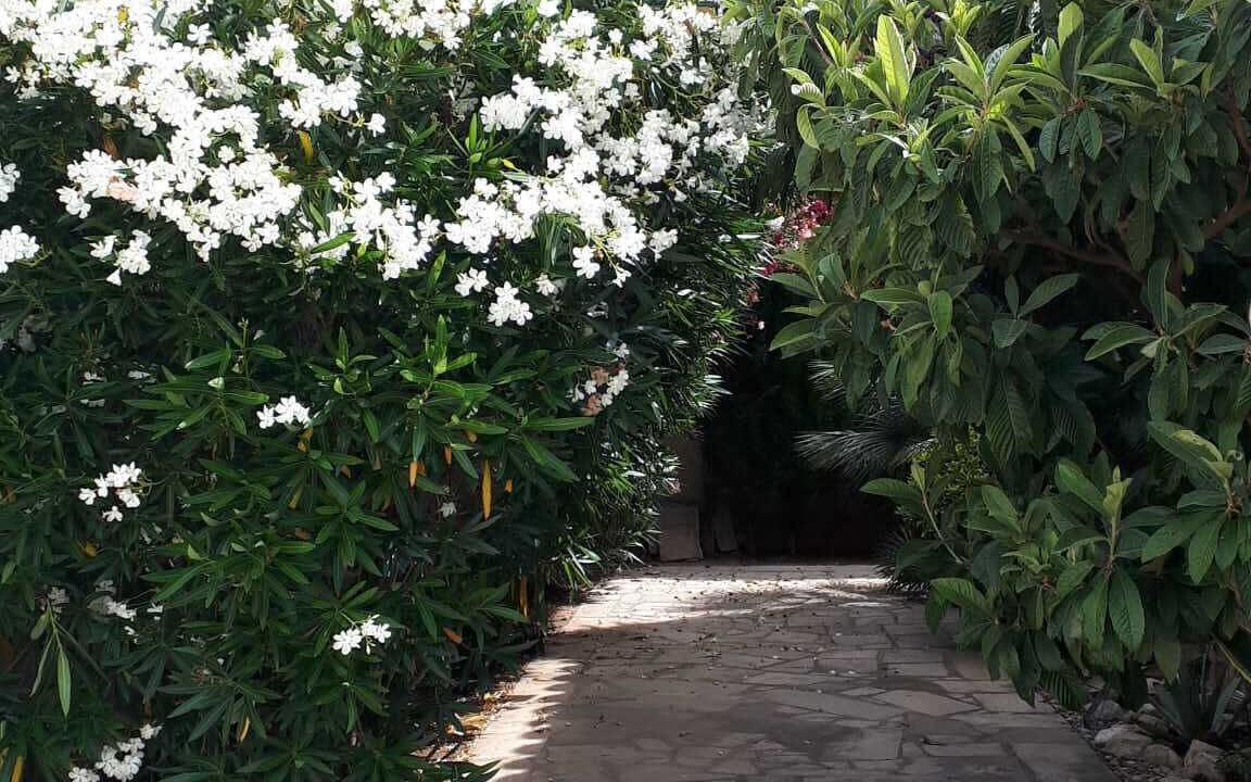 Photo of Outdoor in Costa del Zefir