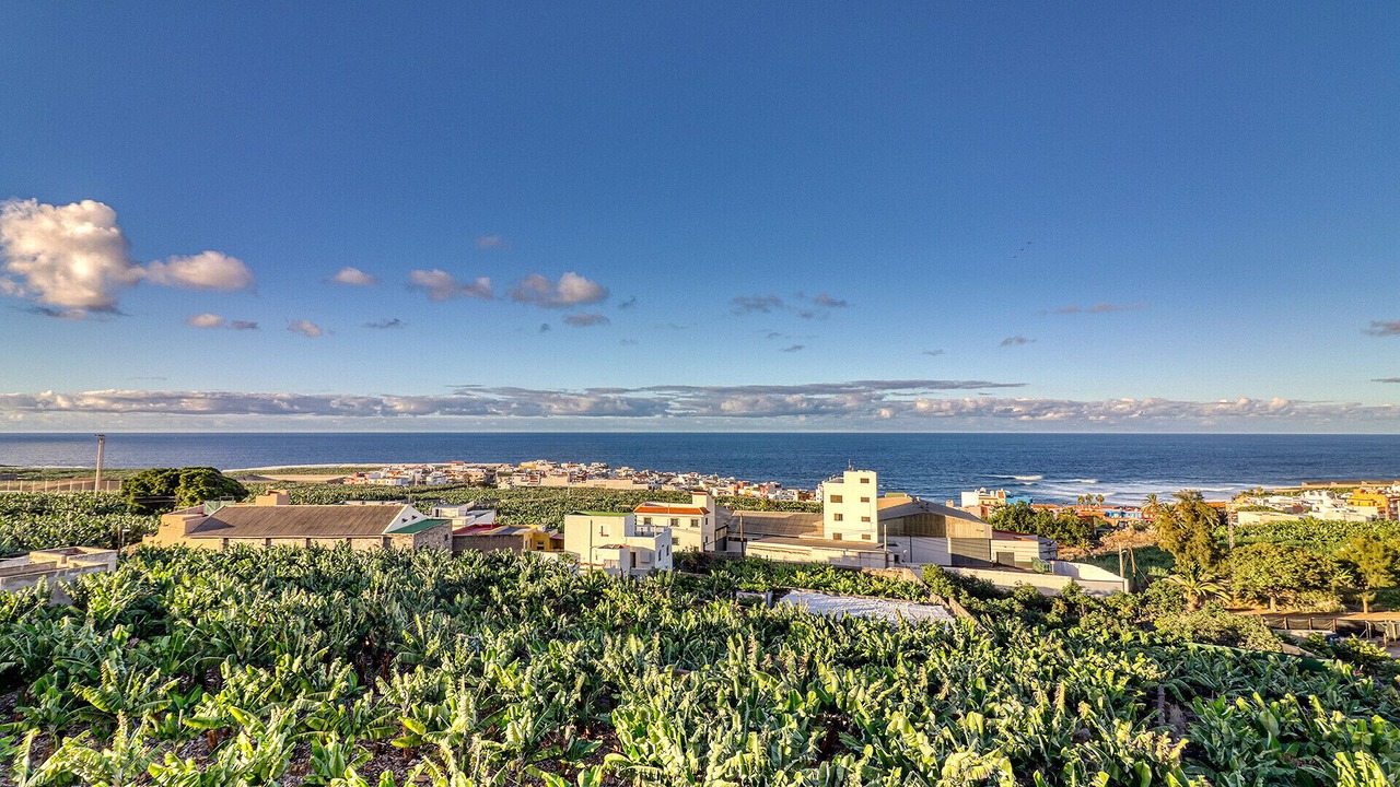 Photo of Others in Garachico
