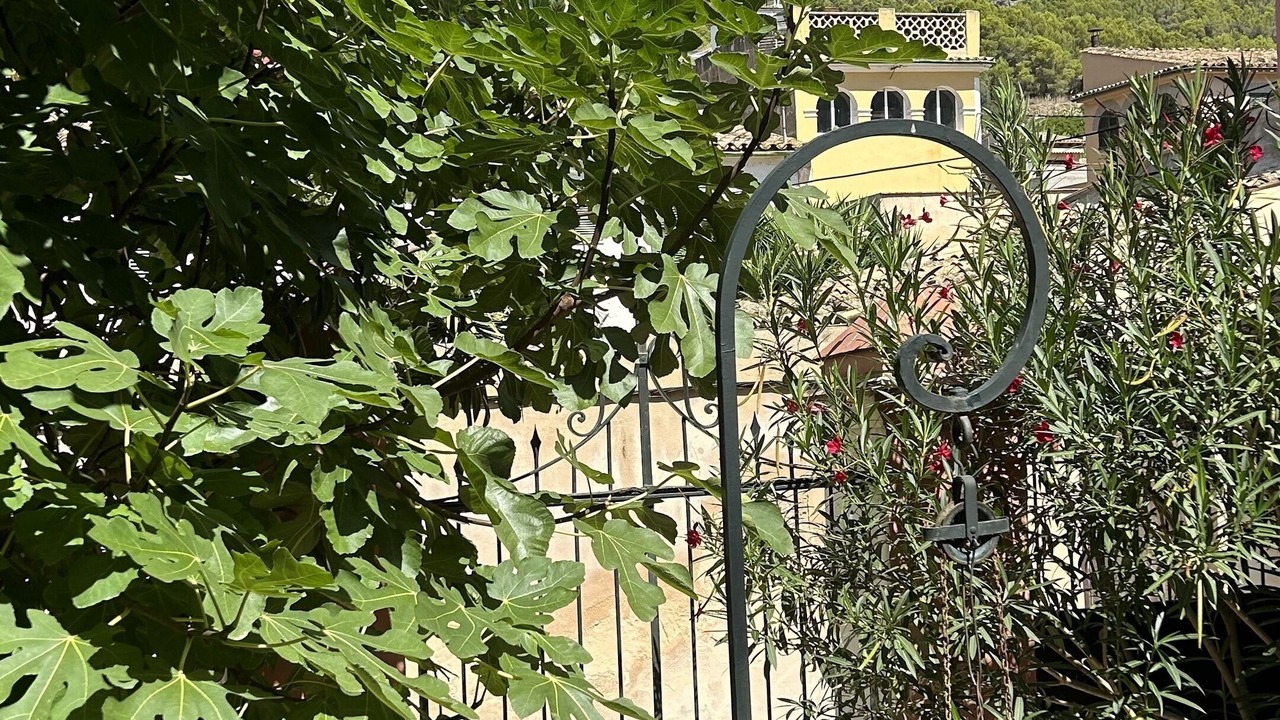 Photo of Outdoor in Andraitx