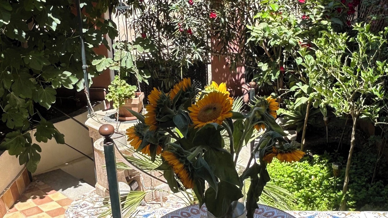 Photo of Patio Balcony in Andraitx