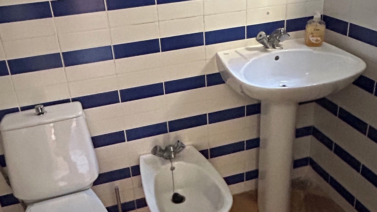 Photo of Bathroom in Andraitx