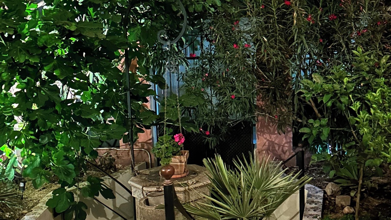 Photo of Patio Balcony in Andraitx