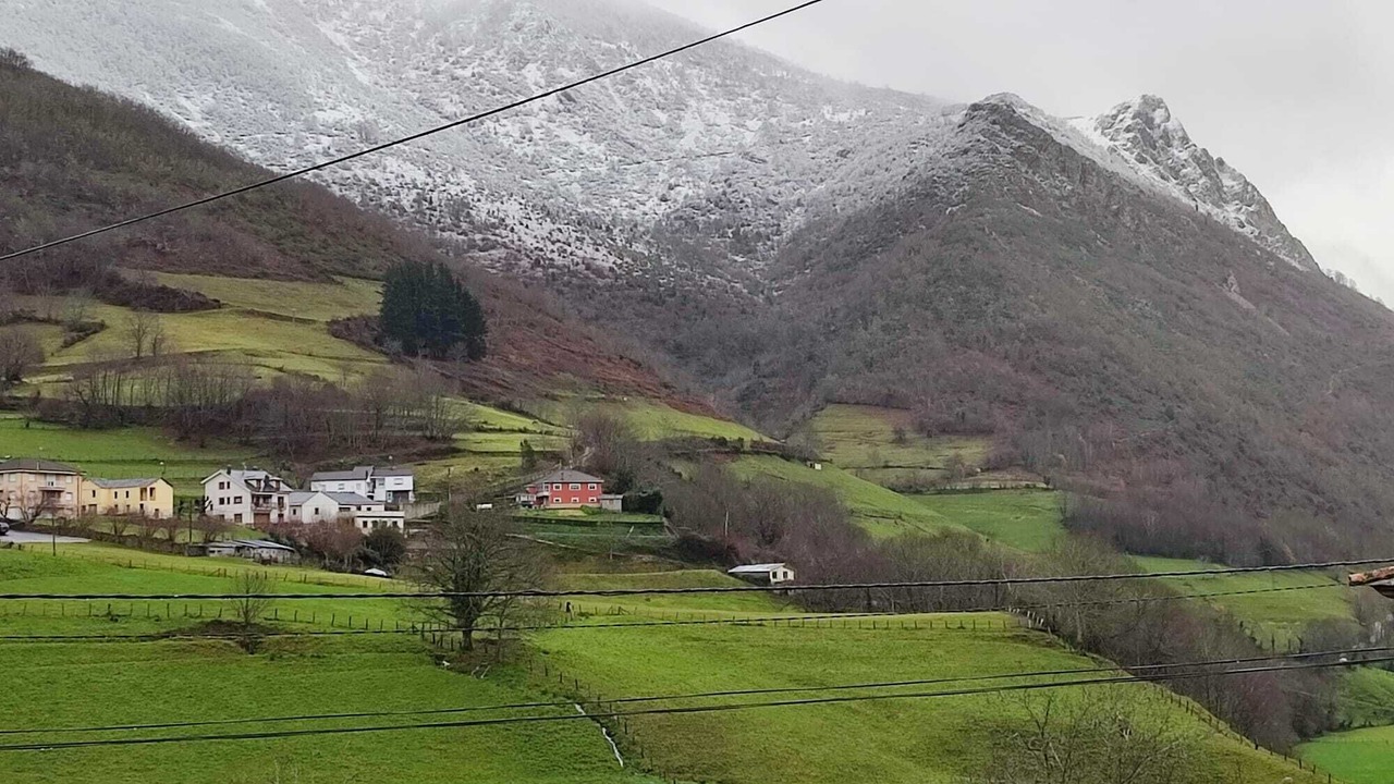 Photo of Others in Xedre