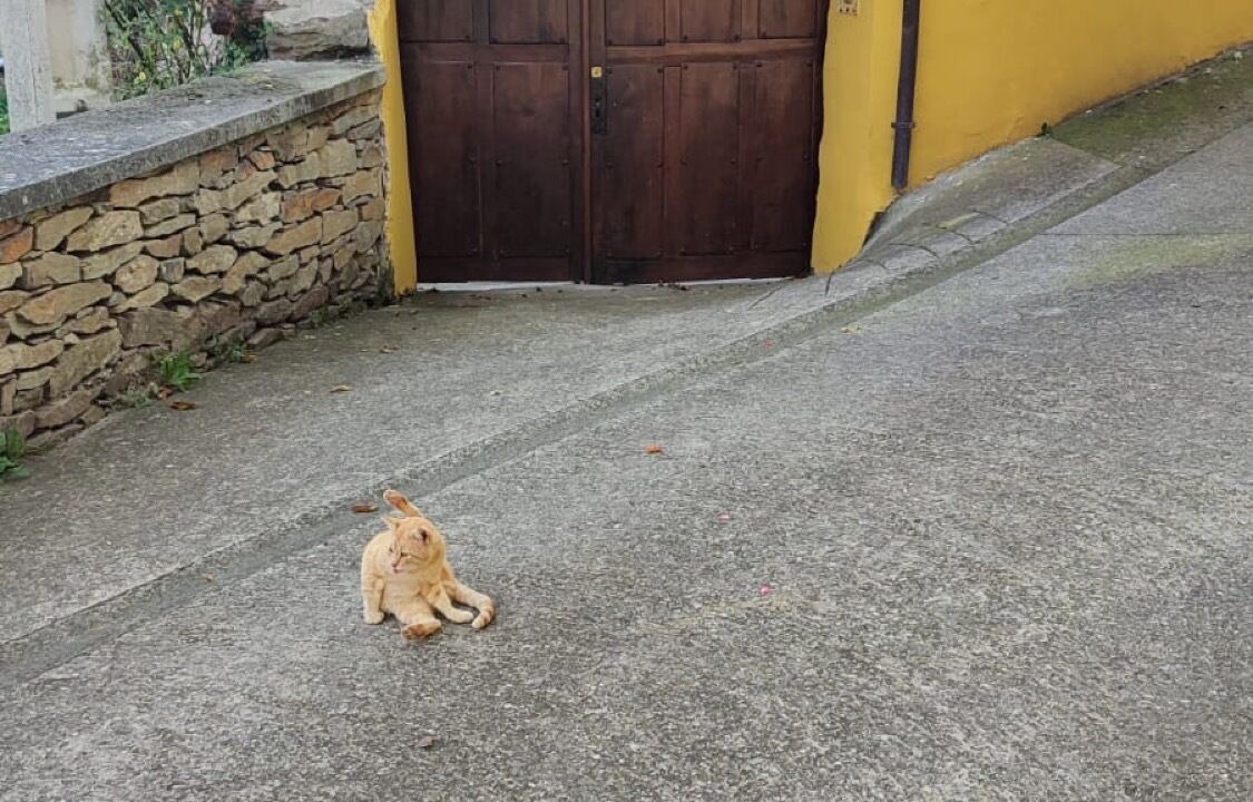 Photo of Outdoor in Xedre