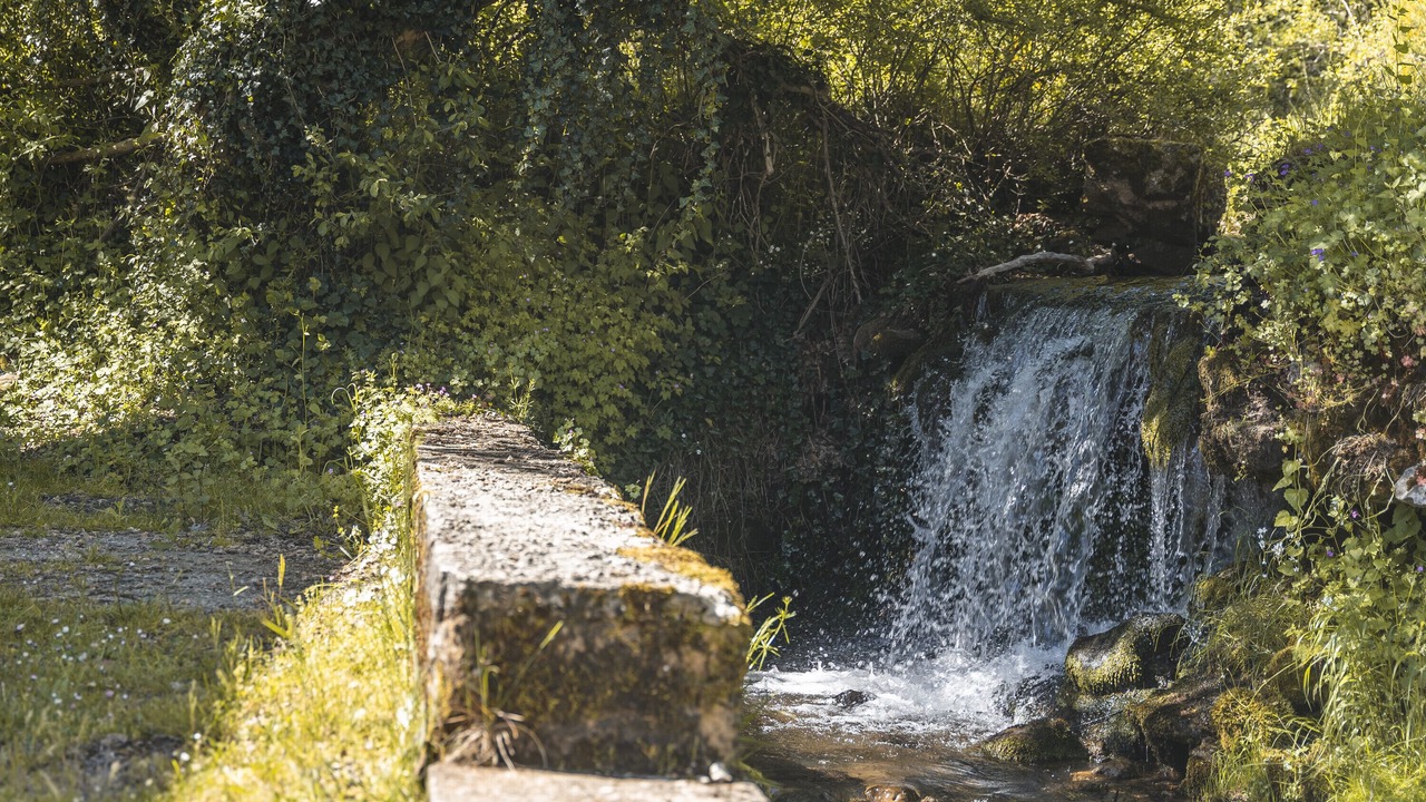 Photo of Others in Valle de Valdelaguna